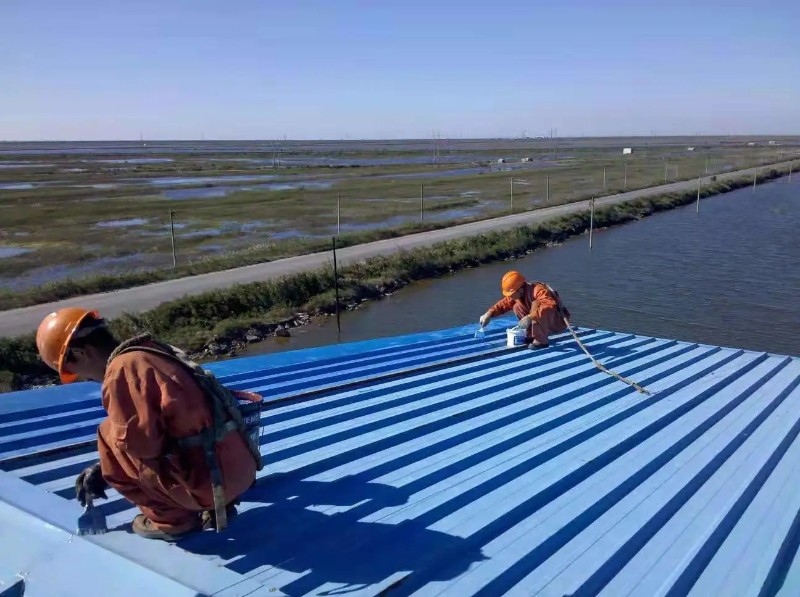 顺河回族钢结构屋面漏水原因